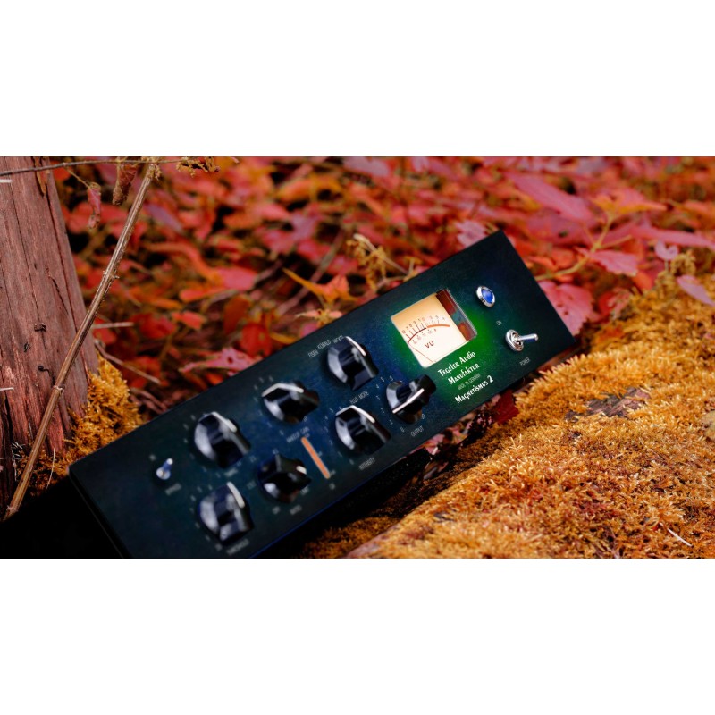 Tegeler Audio Magnetismus 2