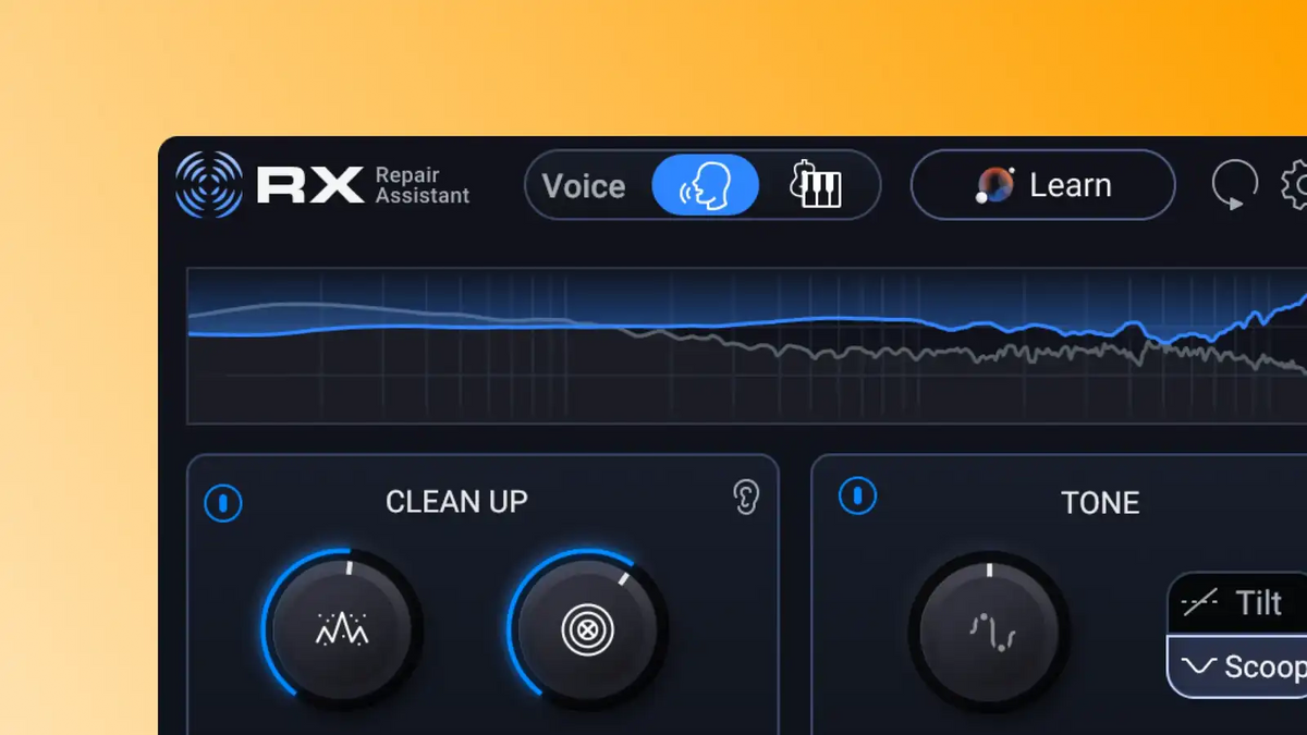 Repair Assistant de iZotope RX 12 Elements