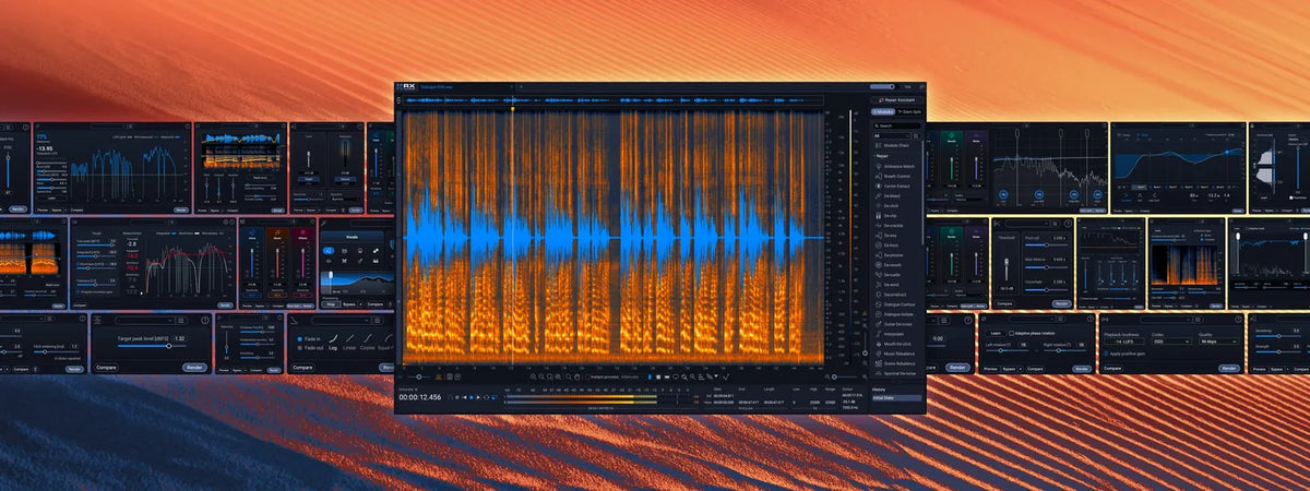 Ecosistema de módulos de iZotope RX 12